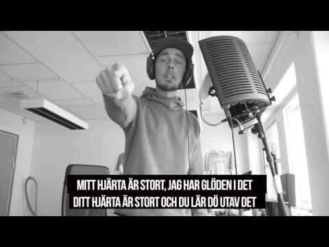 CLUELESS SWEDE I TITELN ( Svar till Anjo ) 18 +