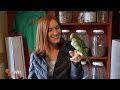 Chopsticks The Quaker Parrot