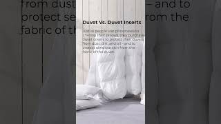 What you need to know about Duvet Insert 2023