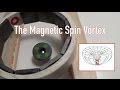 The Magnetic Spin Vortex