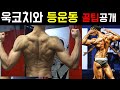 등운동 제대로 배우기ㅣ누구나 등자극 100% 찾을수있다? (feat, 욱코치, 상세설명, 부위별 운동)
