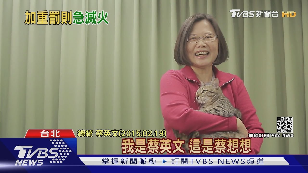 154隻走私貓遭安樂死挨轟!總統:依法執行不得已 未來務必修法