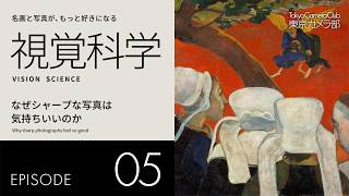 【視覚科学 / ep.05】なぜシャープな写真は気持ちいいのか