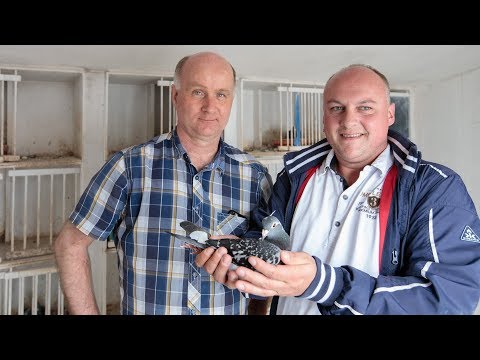 Nationale winnaars ZLU 2017 - Perpignan: Pieter Woord, Urk (with English subtitles)