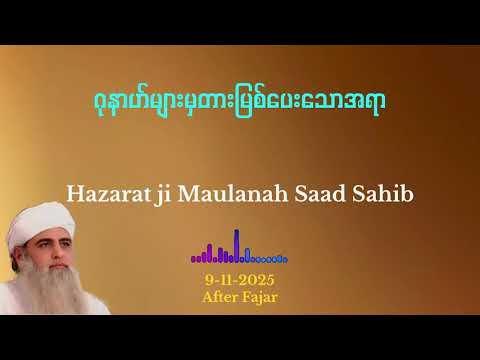 Mlv Rafiq Myanmar Tarjuma - 15 November 2025