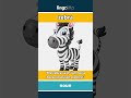 zebra - a black-and-white striped a... video thumbnail