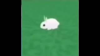 GO F#%@ YOURSELF rabbit meme