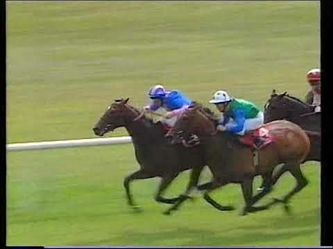 1995 Irish Derby Winged Love Includes Replay