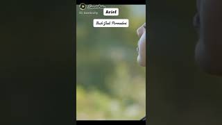 Download lagu arif buih jadi permadani mp3