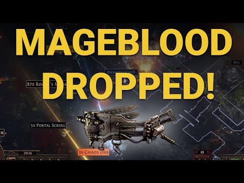 Looting My First Mageblood | Path of Exile 3.17