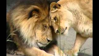 Sorrry Seems To Be The Hardest Word - Suzy Bogguss - Chet Atkins_xvid.avi