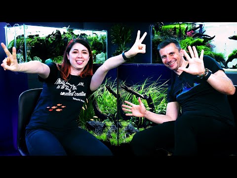 Questions from a BEGINNER about the FIRST PLANTED AQUARIUM! - Interview with Chills