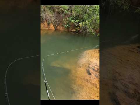 Torneio de arremesso em Tres MARIAS-MG!No meio de tantos competidores usei o phithing cast