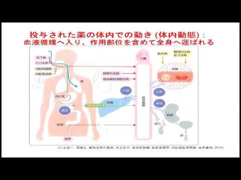 くすりの知識と上手な使い方
