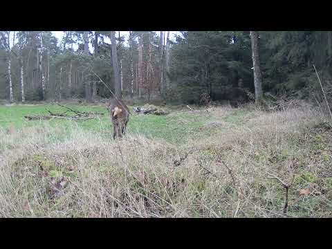 2021 0103 192033 000004