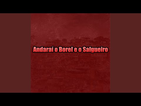 Andaraí o Borel e o Salgueiro