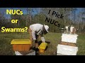 Making NUCs to Prevent Swarming