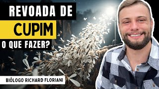 How to DEFINITELY ELIMINATE flying termites (Siriris and Aleluias) from your home