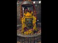 Ujjain रंक को राजा Ujjain Mahakal Status Bhole Baba Status Ujjain Avantika Status 