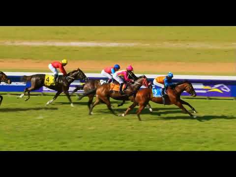 BLUFF ON BLUFF - race 5 #durbanville 20 September 2022