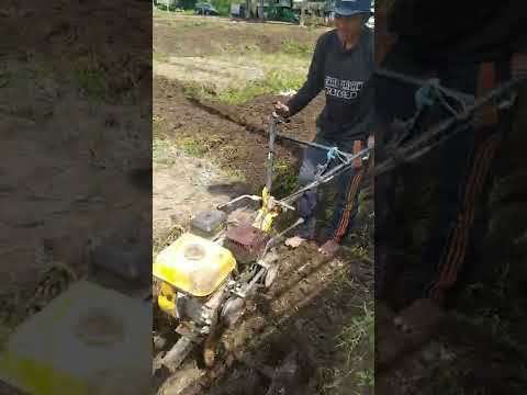 , title : 'Cara Membajak Sawah Dengan Traktor Sangat Simple & Cepat Hasil Memuaskan Guys!!!'