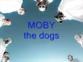 MOBY - The Dogs 