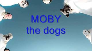 MOBY - The Dogs