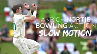 Anrich Nortje Bowling Action Slow-Motion