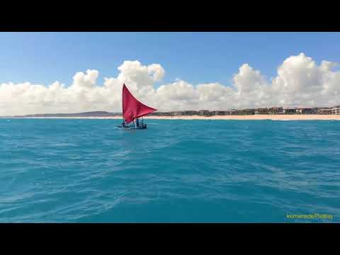 Meu País - Ivan Lins