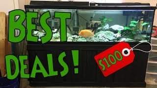 How and Where To Get Cheap Fish Tanks? - MY SECRET TIPS REVEALED
