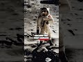Unbelievable Footage of the Moon Landing 1969 Historic NASA Apollo 11 Mission