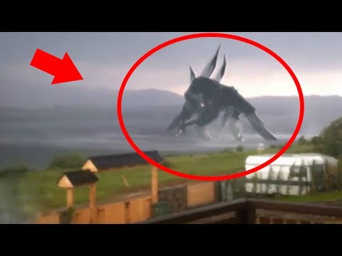 7 Giant Creatures Caught on Tape Video