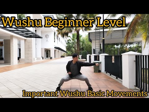 Wushu Beginner Level - Important Basic Movements