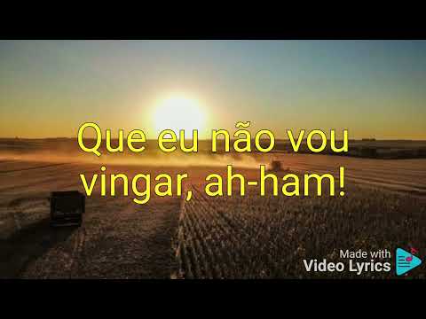 Ana Castela, Léo e Raphael, Luan Pereira, DJ Chris no Beat - Hino Agro ( letra )