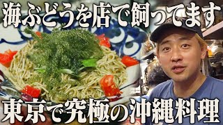 100 Dishes, 100 Awamori Bottles?! Tokyo’s Wildest Okinawan Restaurant!