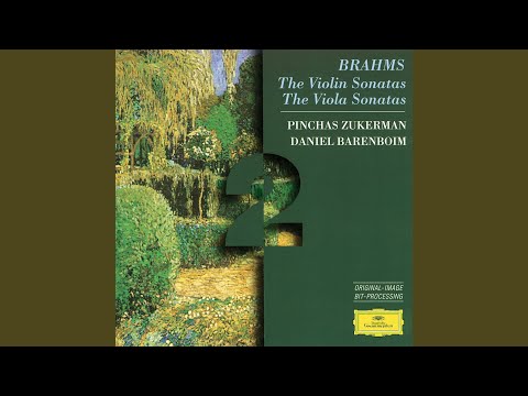 Brahms: Violin Sonata No. 3 in D Minor, Op. 108: I. Allegro