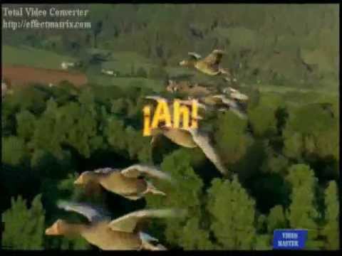 EL VUELO DE LOS GANSOS