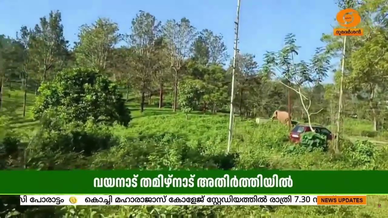 പട്ടാപ്പകൽ നിർത്തിയിട്ട  കാറിനുനേരെ കാട്ടാന ആക്രമണ