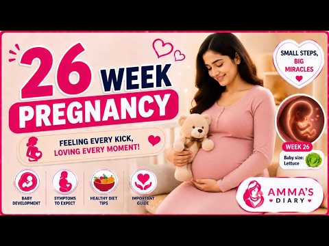 Week 26 Pregnancy | Baby's Brain Develops Rapidly!