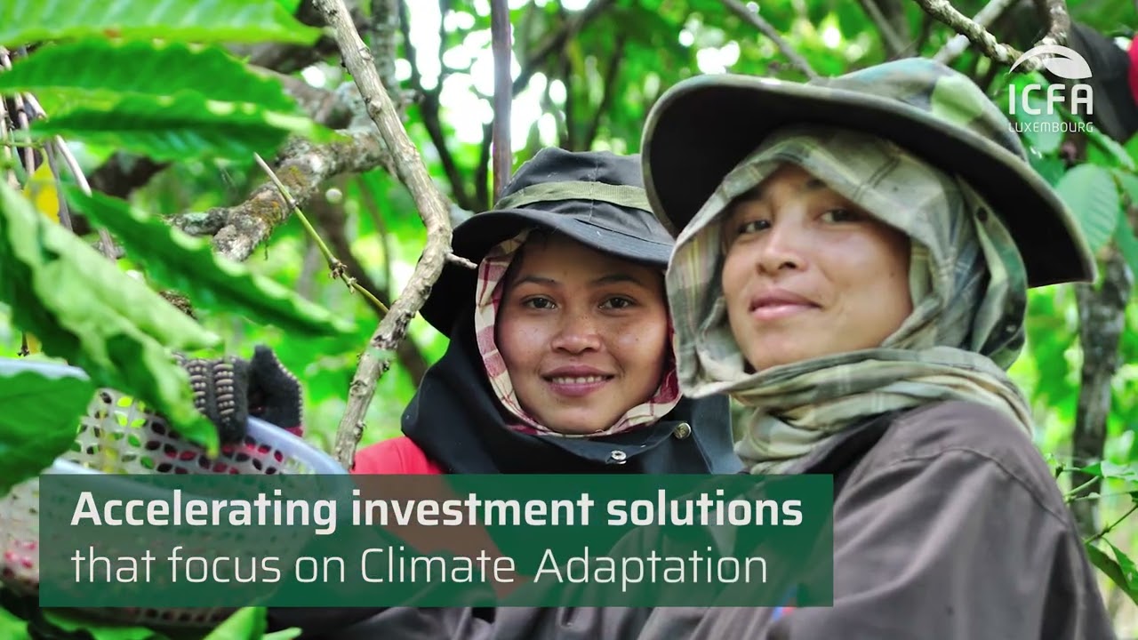 ICFA Promotional Film 2024