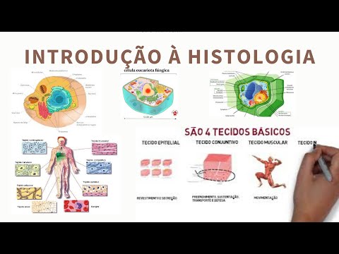 Introdução à Histologia