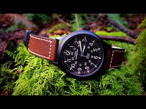 The Timex Expedition Scout - Military Field Watch at a reasonable price.