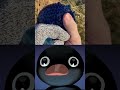 NOOT NOOT Shorts Meme Pingu
