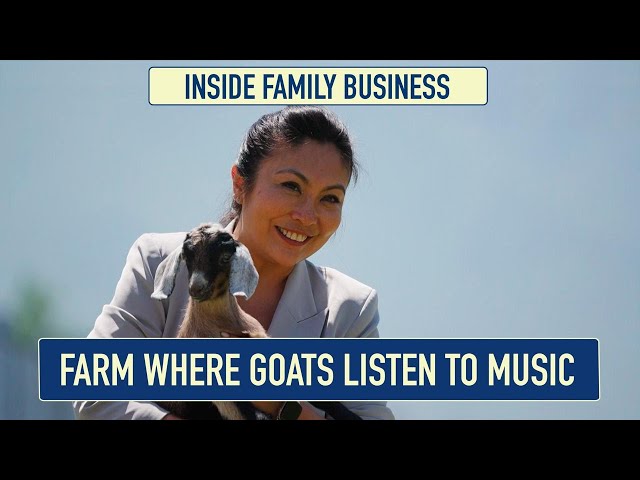 Goat farm near Almaty: how doctors became farmers