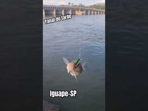 final de tarde em..#iguape #pescacomcaiaque #pescaesportiva #pesqueesolte #robalos