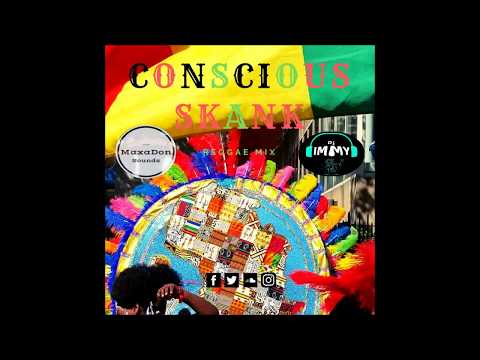 Conscious Skank Reggae Mix | Dj Immy