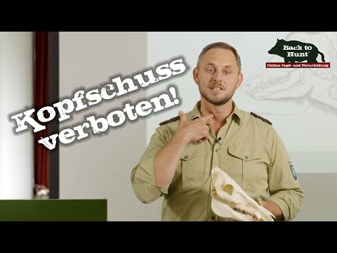 Lung shot before head shot | Back to Hunt