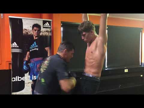 gradus kraus belly training