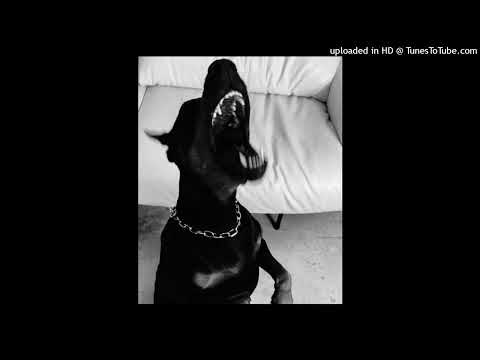 [FREE] LYONZON X ZOLA X SPLURGE TYPE BEAT - " CARTIER  " (HARD)