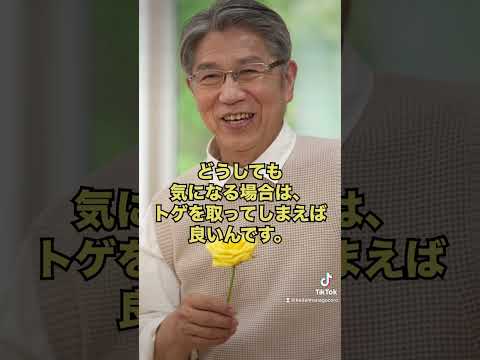 墓地に適した手入れの簡単な植物は何ですか？私たちのトップ5！  庭園